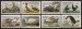Audubon Birds