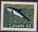Harbor porpoise