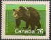 Grizzly bear