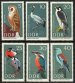 Protected birds