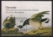 Audubon Birds