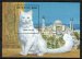 Turkish Angora cat