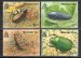 Beetles