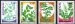 Medicinal plants