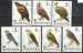 Birds of Prey-WWF