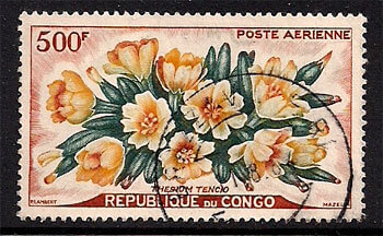 Collect Flower Stamps