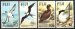 Sea Birds