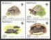 Tortoises