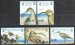Bristle-thighed Curlew