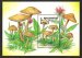 Mushrooms