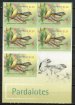 Pardalotes, birds