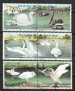 Swans