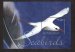 Sea Birds