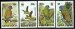 Amazonian Parrots--WWF