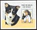 The World of Dogs