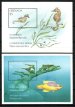 Marine Life of the Caribbean