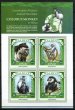 Colobus Monkey