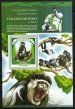 Colobus Monkey