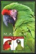 Macaws