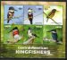 Central American Kingfishers