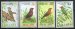 Audubon birds