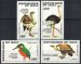 Audubon birds