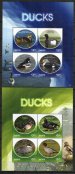 Ducks