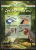 Water birds