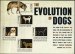 Evolution of Dogs