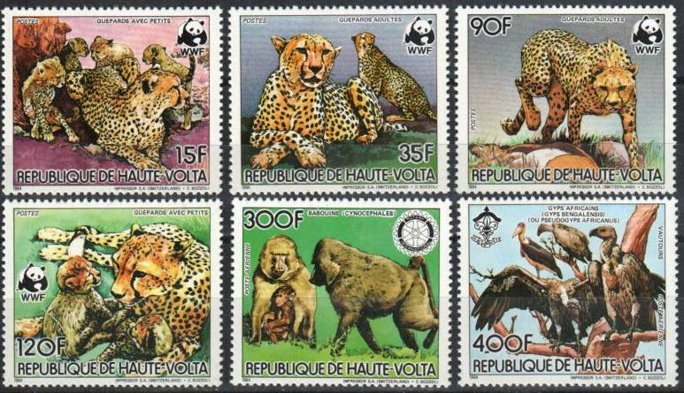 Collect Animal Postage Stamps | Mesa Stamps