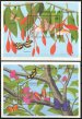 Butterflies of the Caribbean