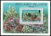 Corals