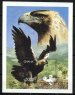 Imperial Eagle
