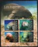 Dugongs