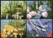 Blue Whale, dragonfly, butterfly, mushrooms