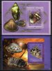 Shells
