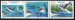 Dolphins