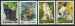 Cats and Dogs