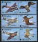 Fighter planes and raptors