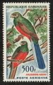Narina trogon