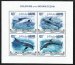 Dolphins of the Indian Ocean