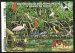 Mangrove swamps and tidal zones