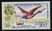 Carmine bee eater