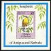 Songbirds