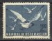 Blackheaded gulls