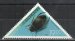 Great Diving Beetle