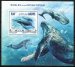 Whales