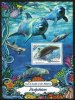 Dolphins