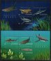Sharks