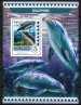 Dolphins